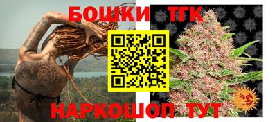 гидра Тулун